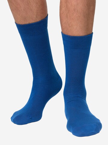 Nur Die Socken in Blau: Vorderseite
