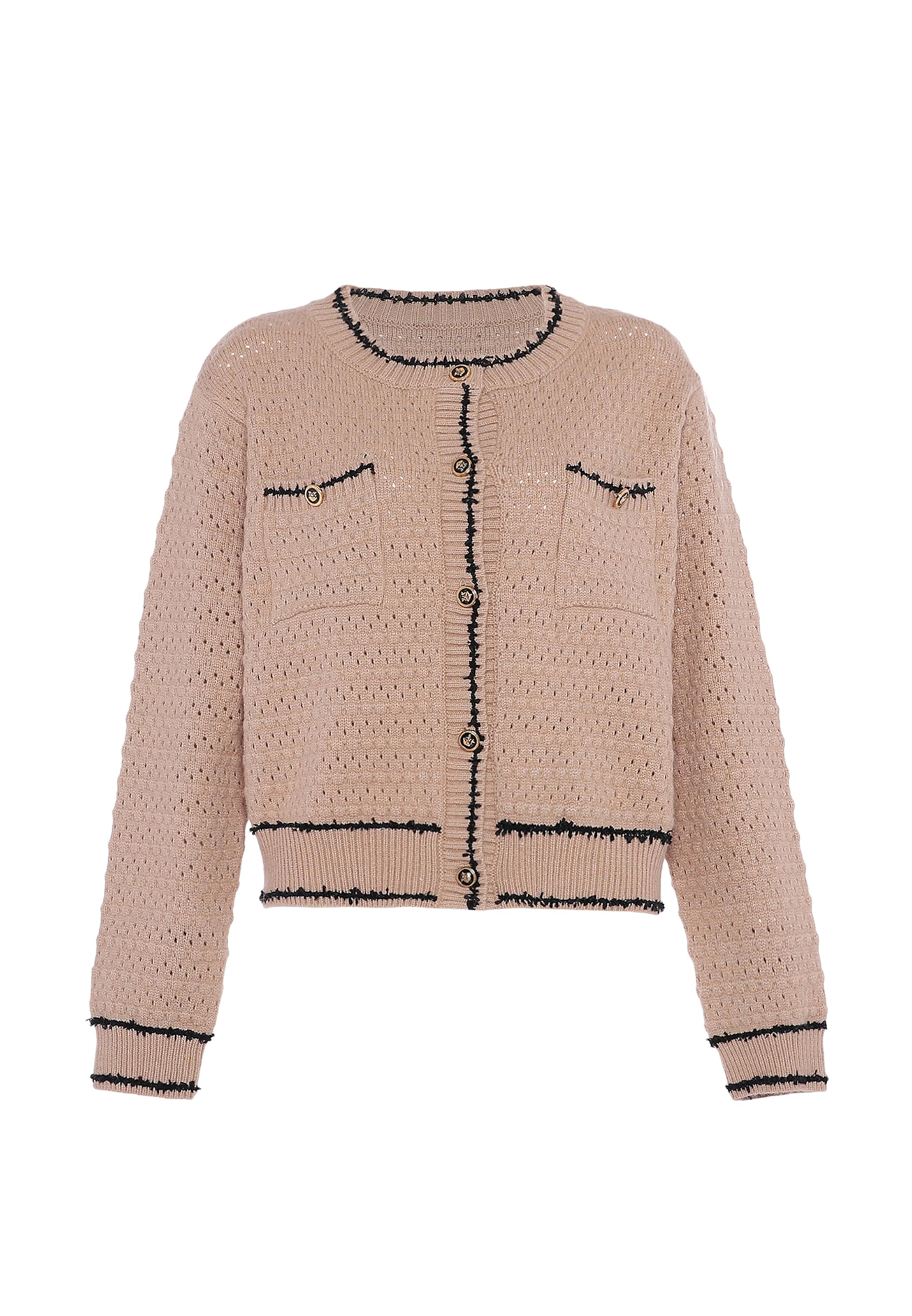 faina Gebreid vest in Beige: voorkant