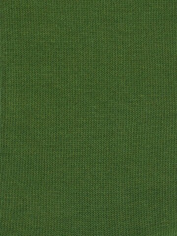DillySocks Sokken 'D-Compose 2er Set' in Groen