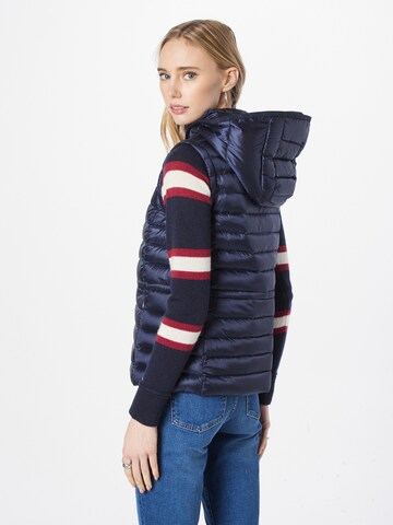 Gilet di TOMMY HILFIGER in blu