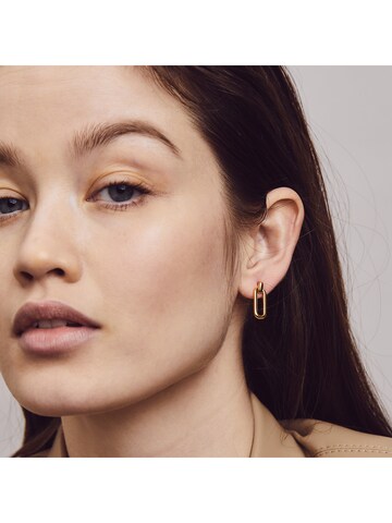 Ti Sento Milano Earrings ' ' in Gold: front