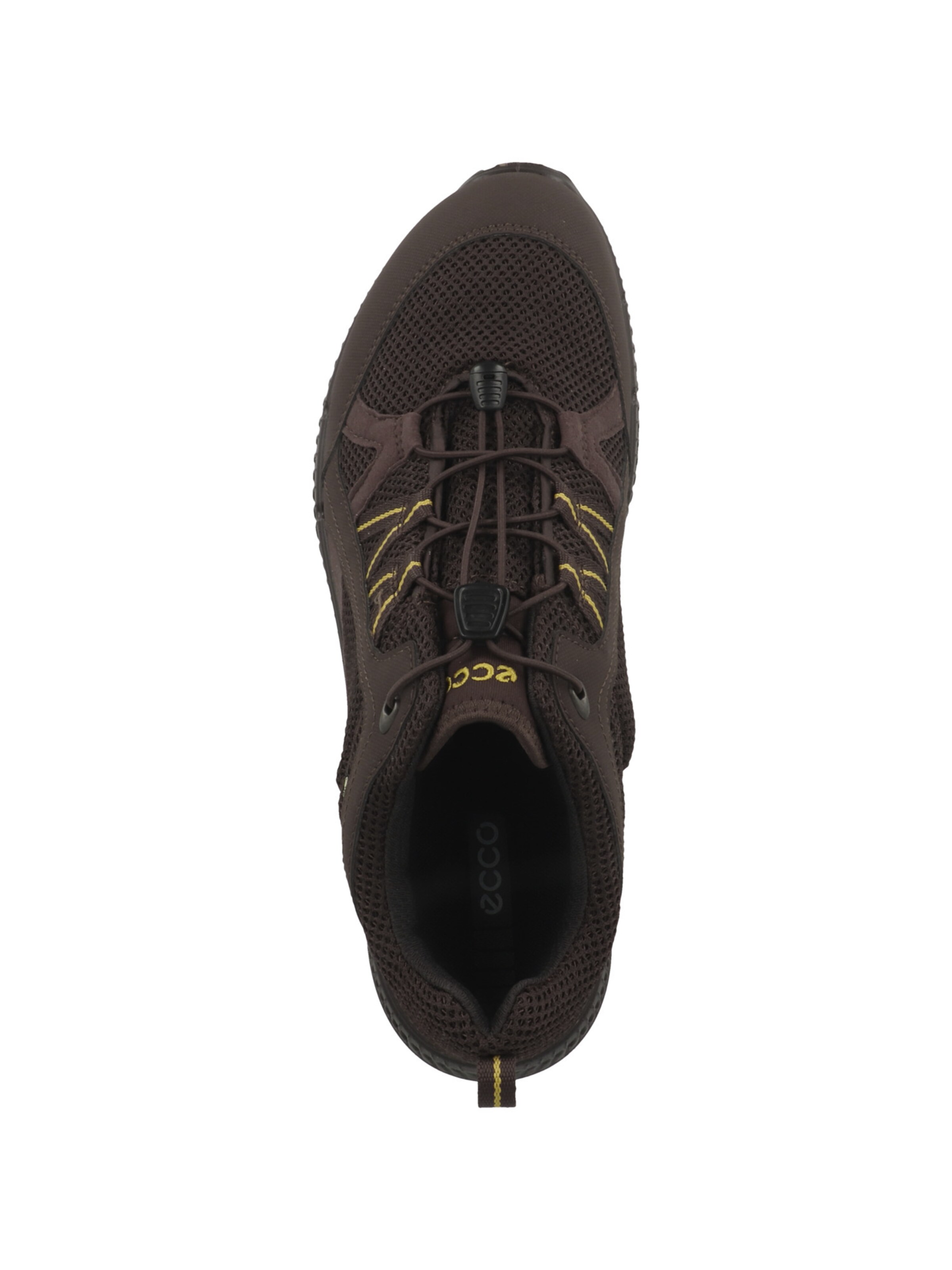 Scarpa bassa 'Terracruise II' di ECCO in marrone