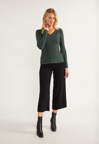 Pull-over 'Nowles' usha BLACK LABEL en vert