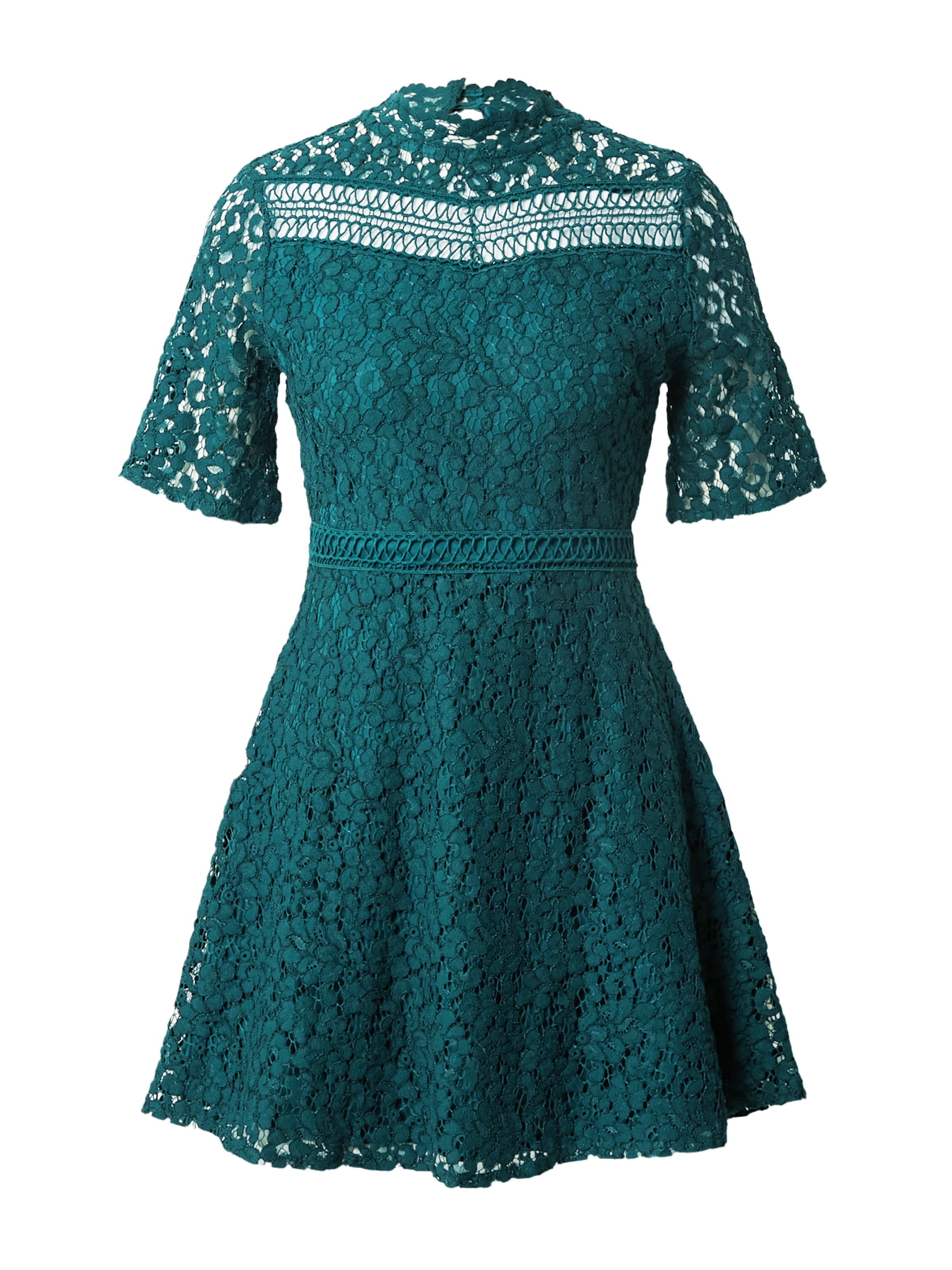 Dorothy Perkins Kleid in Grün: Vorderseite