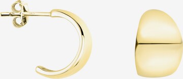 Sofia Milani Ohrringe in Gold: Vorderseite