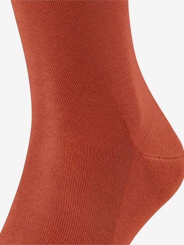 FALKE Knee High Socks 'Tiago' in Red: front