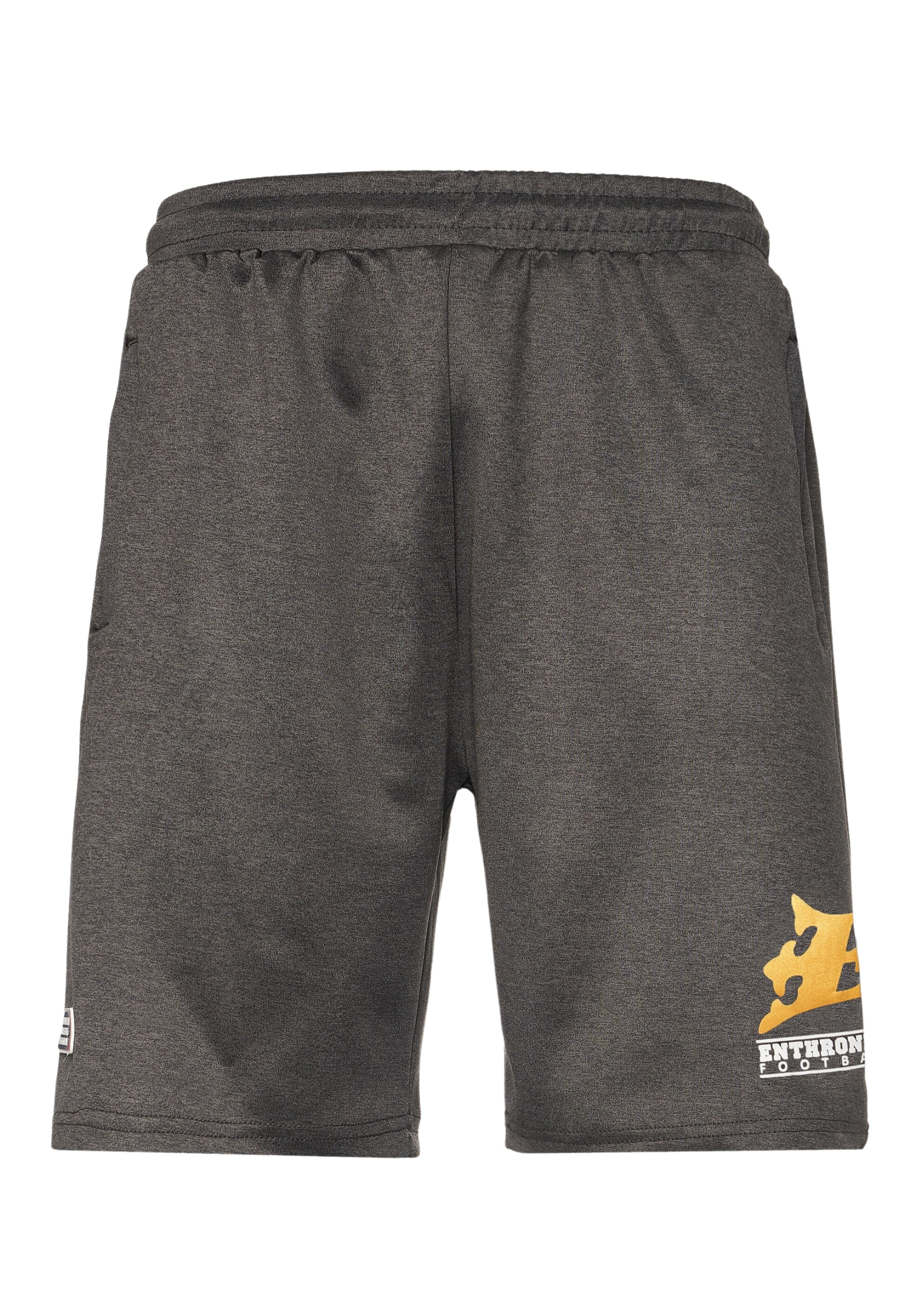 regular Pantaloni di European League of Football in grigio: frontale