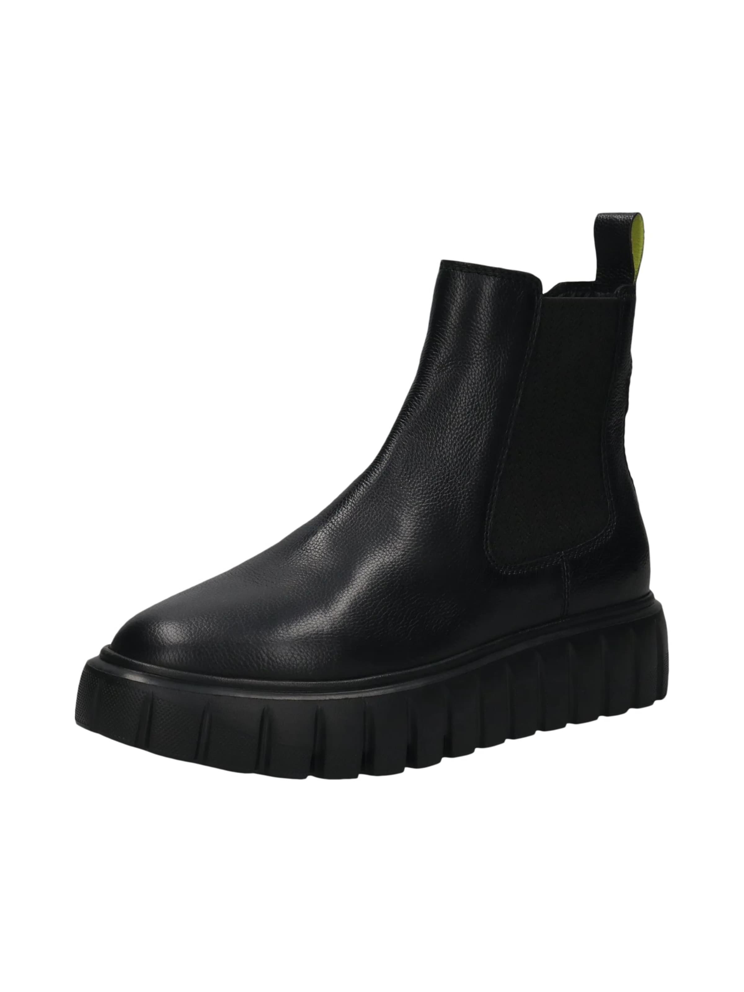 SALAMANDER Chelsea boots i svart: framsida