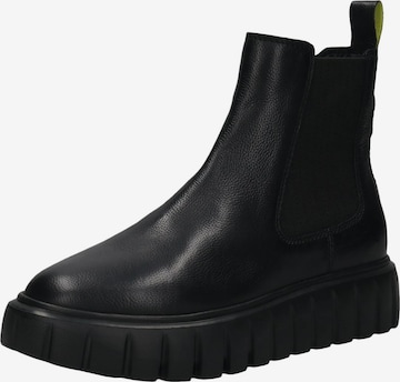 SALAMANDER Chelsea boty – černá: přední strana