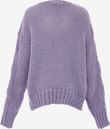 ebeeza Sweater in Purple