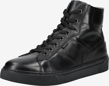 Sneaker alta di Nero Giardini in nero: frontale