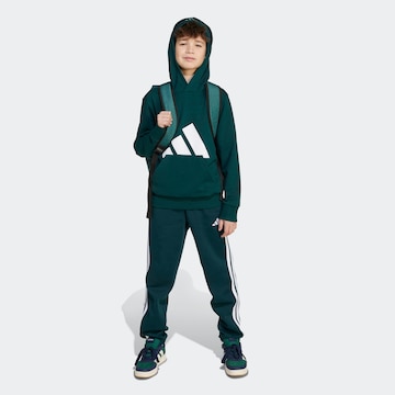žalia ADIDAS SPORTSWEAR Sportinio tipo megztinis 'Essentials'