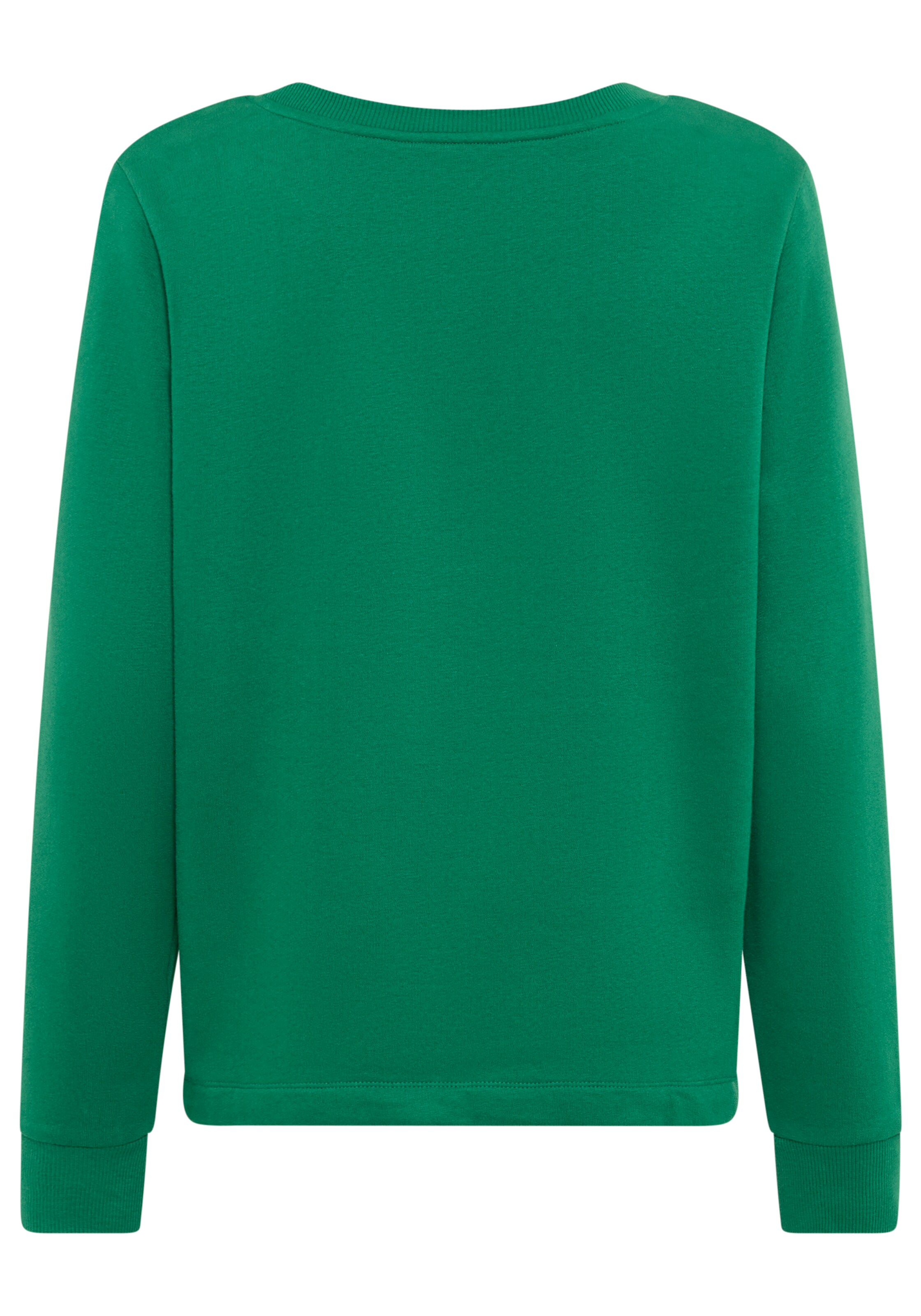 DELMAO Sweatshirt in Green