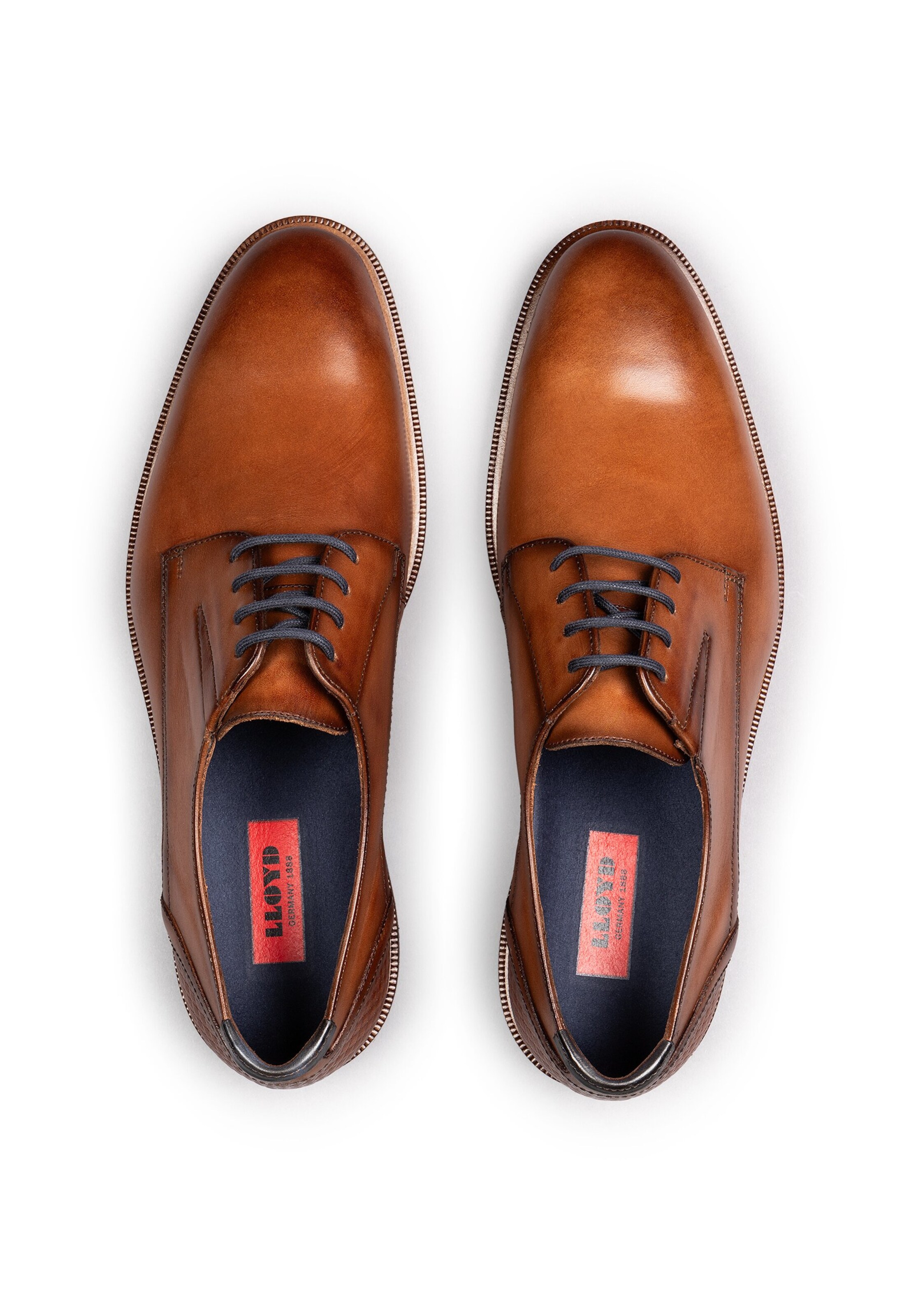 LLOYD Schnürschuh 'Kennedy' in Braun