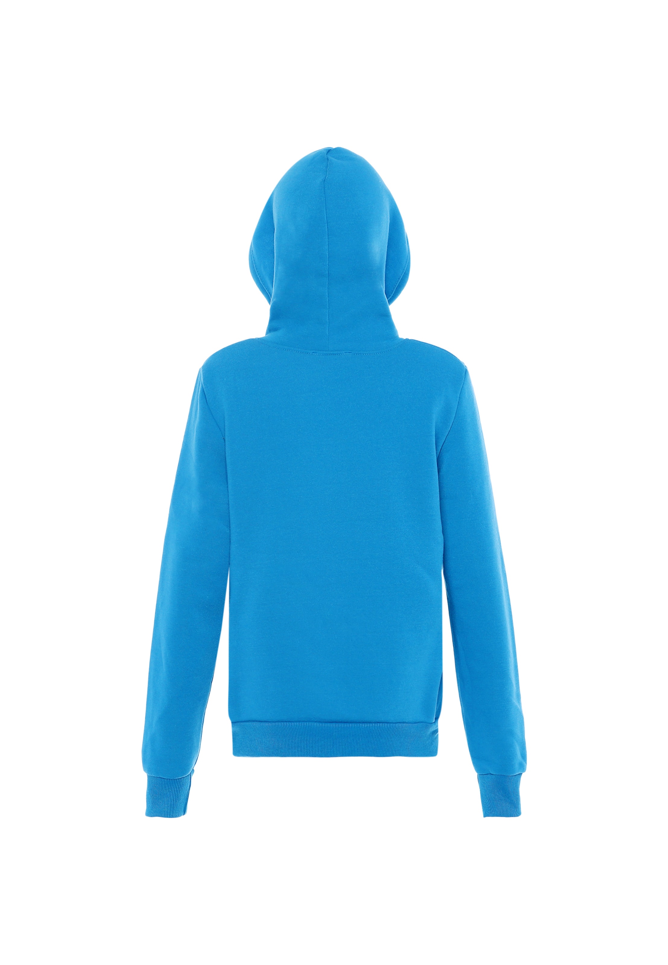 Exide Sweatshirt in Blue