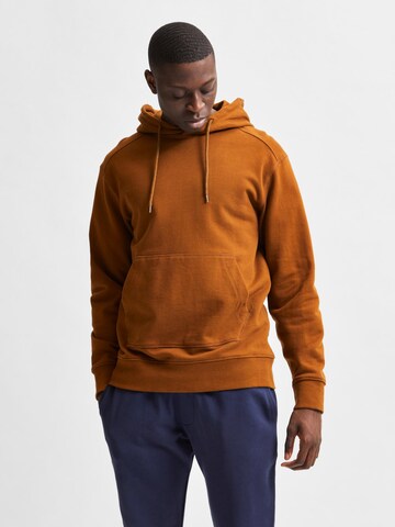 SELECTED HOMME Sweatshirt 'Jackson' in Brown: front