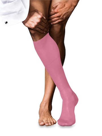 FALKE Knee High Socks 'No. 9 Pure Fil d´Écosse' in Pink: front