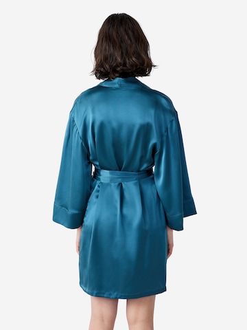 ETAM Morgenmantel in Grün