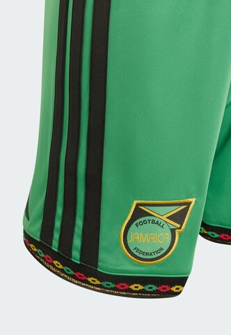 ADIDAS PERFORMANCE - regular Pantalón deportivo 'Jamaika 26 x Bob Marley' en verde