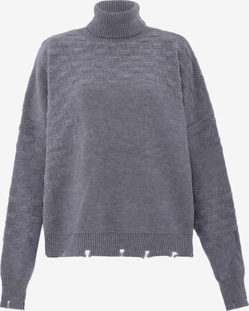 FENIA Sweater 'Fenia' in Grey: front