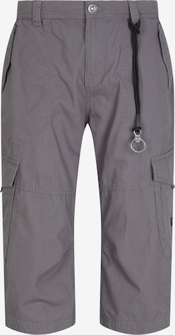 TOM TAILOR Regular Cargo Pants 'Max' in Grey: front