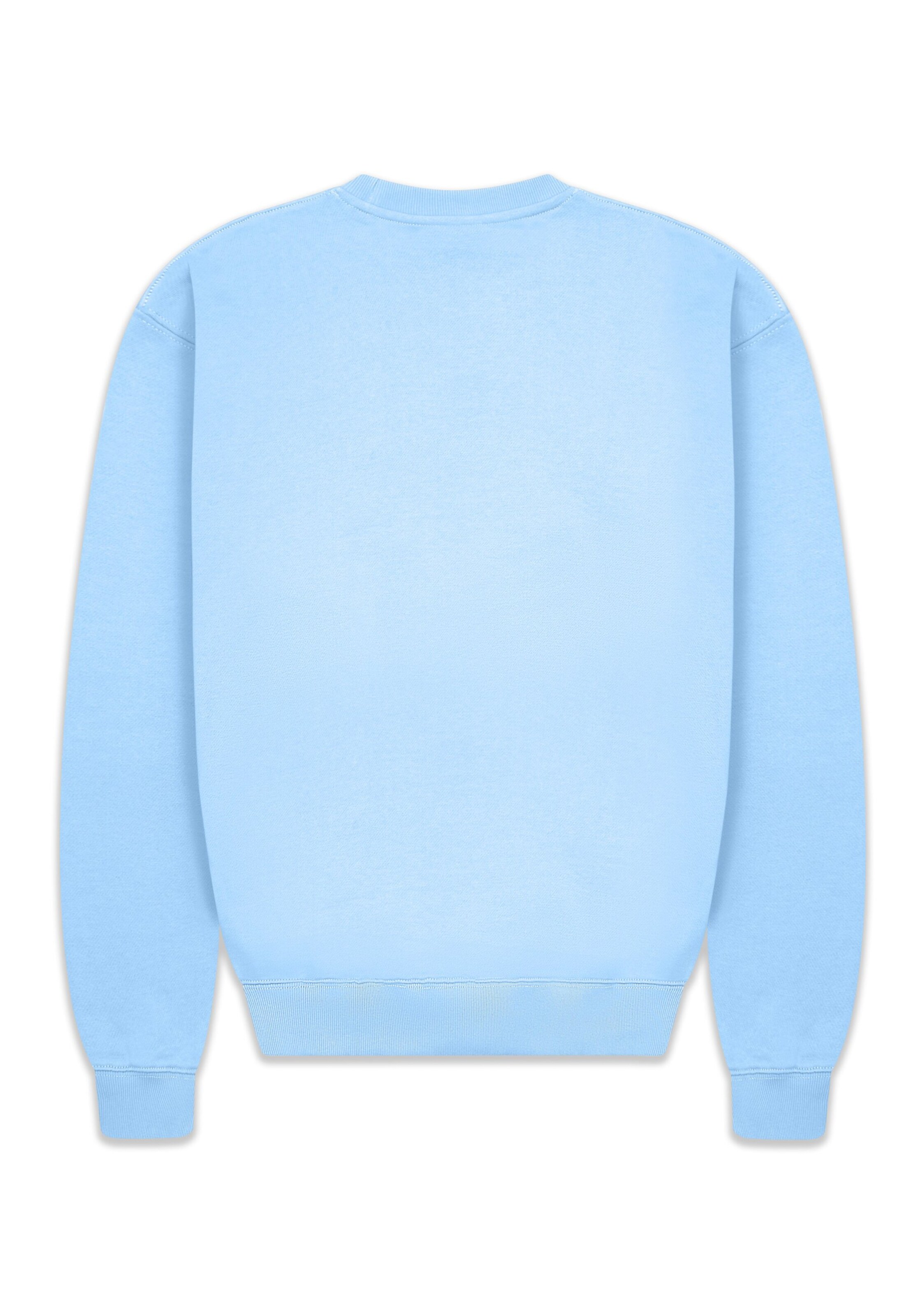 Dropsize Sweatshirt in Blue