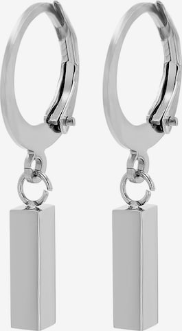 Akzent Earrings 'Fedde, langlebig' in Silver: front