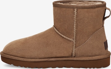 UGG Апрески в кафяво: отпред