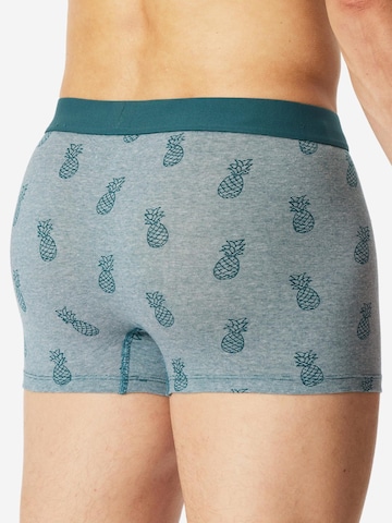 SCHIESSER Boxershorts '95/5 Organic Cotton'‌‌‌‌‌‌‌‌‌ in Blau