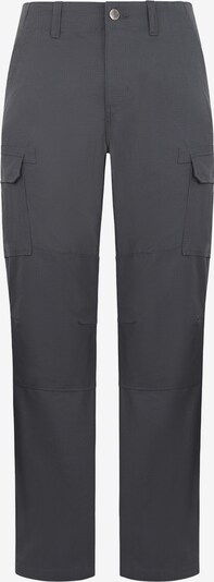 DICKIES Pantalon cargo en gris foncé, Vue avec produit