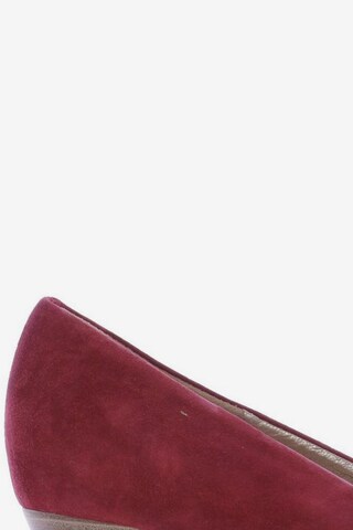 GABOR Pumps 39,5 in Rot
