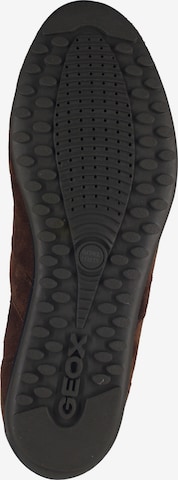 GEOX Sneakers in Brown