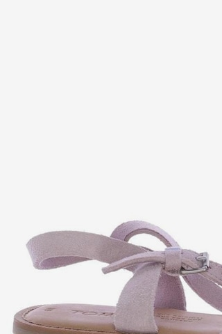 TOMS Sandals & High-Heeled Sandals in 40 in Purple