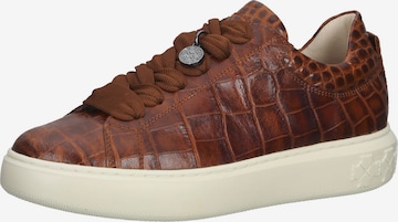 PETER KAISER Sneakers in Brown: front
