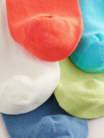 Next Socks in Mixed colours