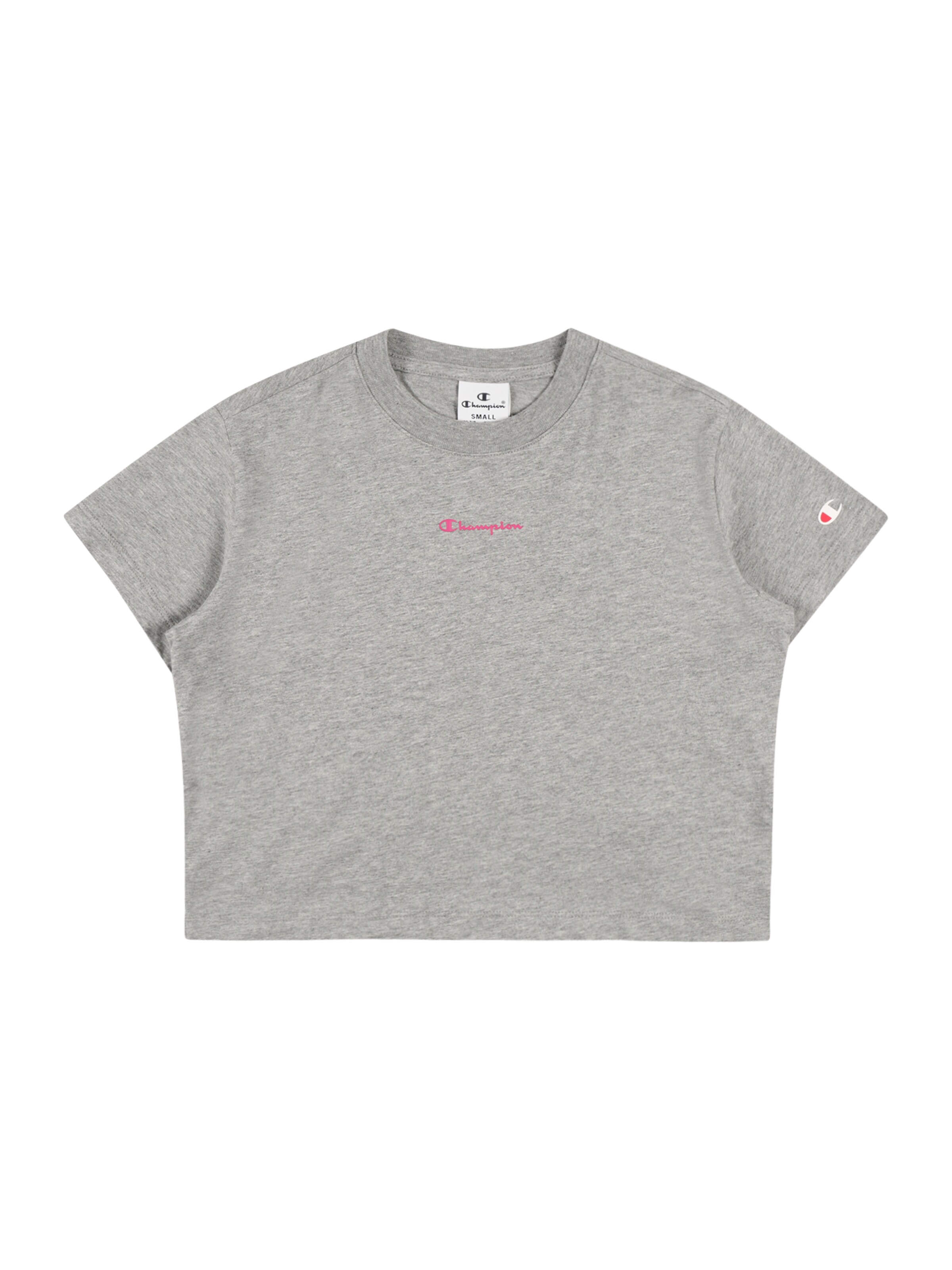 T-Shirt Champion Authentic Athletic Apparel en gris : devant
