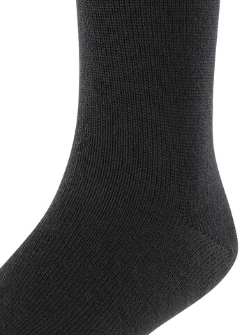 FALKE Socks 'Comfort Wool' in Black