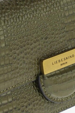 Liebeskind Berlin Small Leather Goods in One size in Green