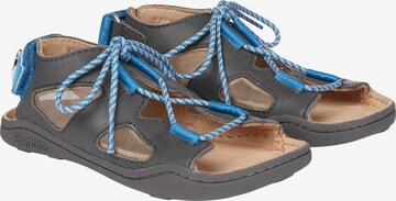 Affenzahn Sandals 'HUND' in Grey