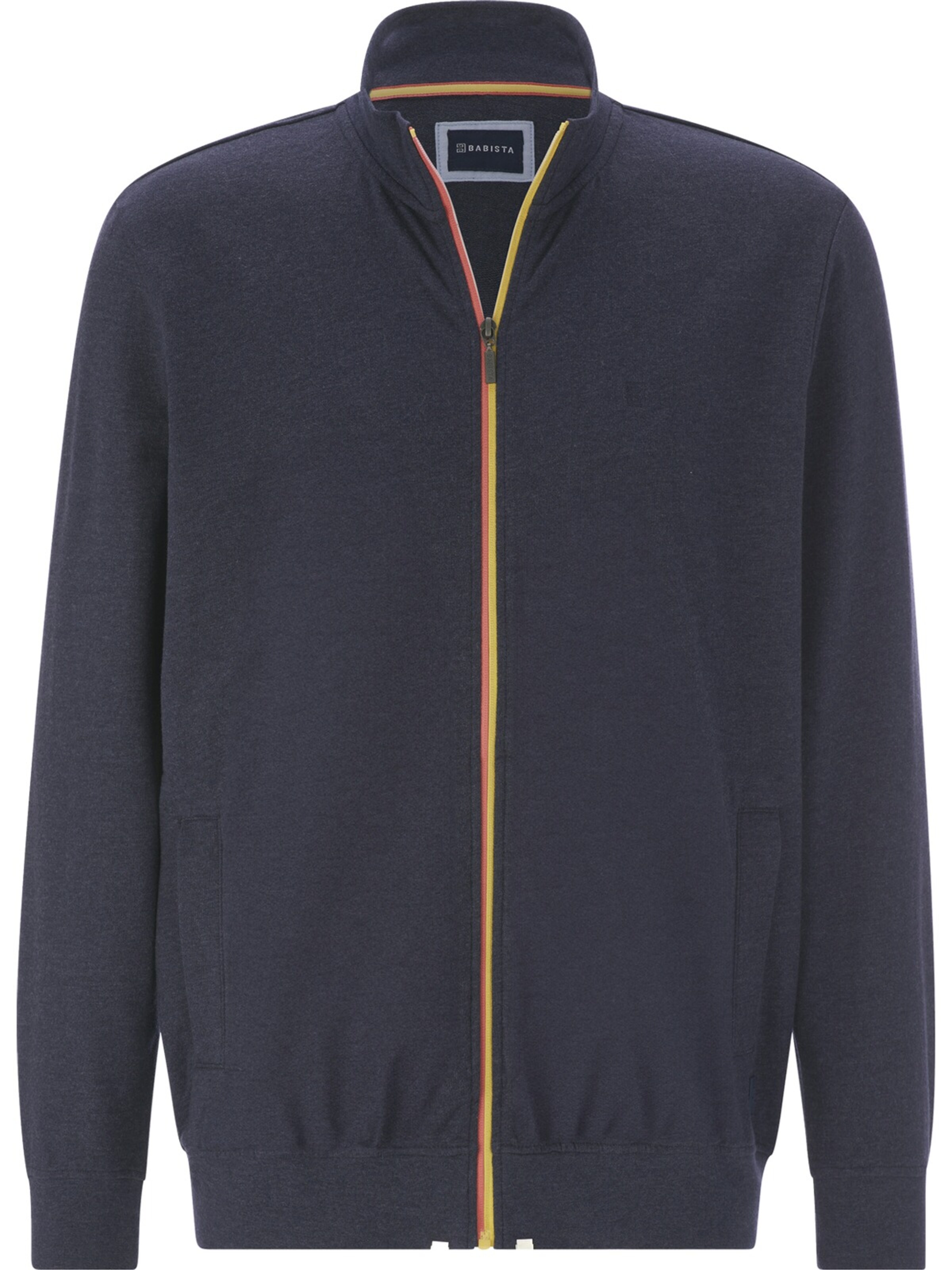 BABISTA Zip-Up Hoodie 'Ulvin' in Blue: front