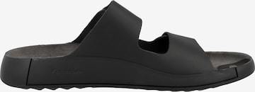 ECCO Mule in Black