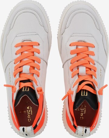 Crickit Sneaker high 'OLISA' in Orange