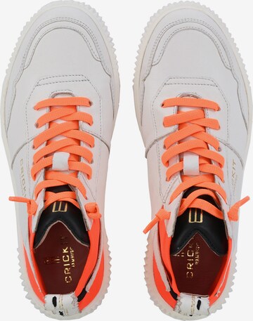 Baskets hautes 'OLISA' Crickit en orange