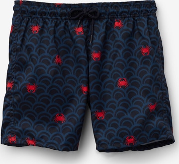 Tezenis Board Shorts in Blue: front