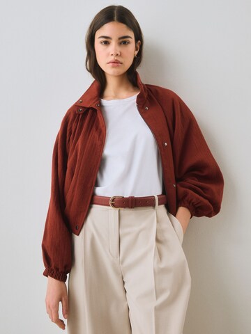 Cintura di Next in marrone