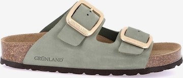 Mule Grunland en vert : devant