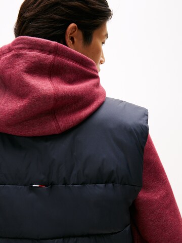 mėlyna TOMMY HILFIGER Liemenė