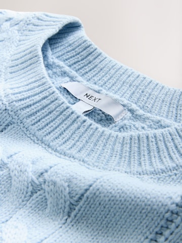 Next Trui in Blauw