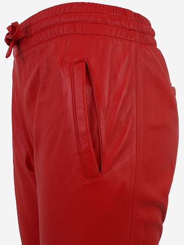 OAKWOOD - Slimfit Calças 'GIFT' em vermelho