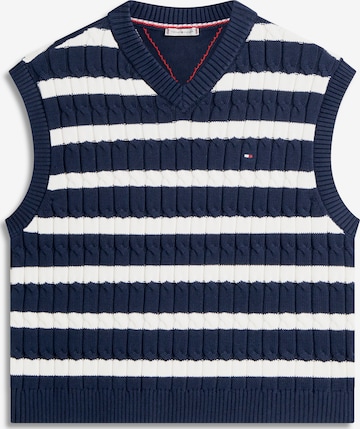 mėlyna TOMMY HILFIGER Megztinis: priekis